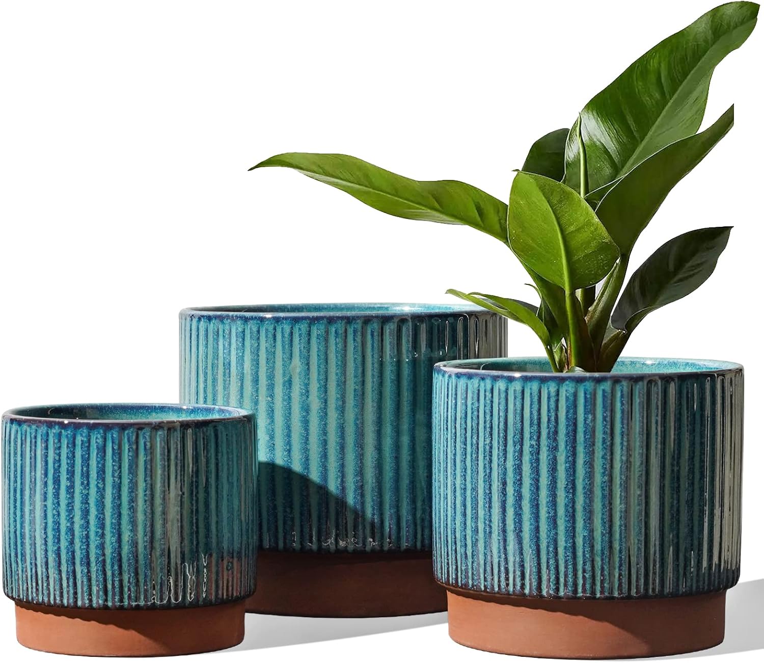 Set of 3 Ceramic Plant Pots wi – Aloe Vera Pot Bewertung und Preis