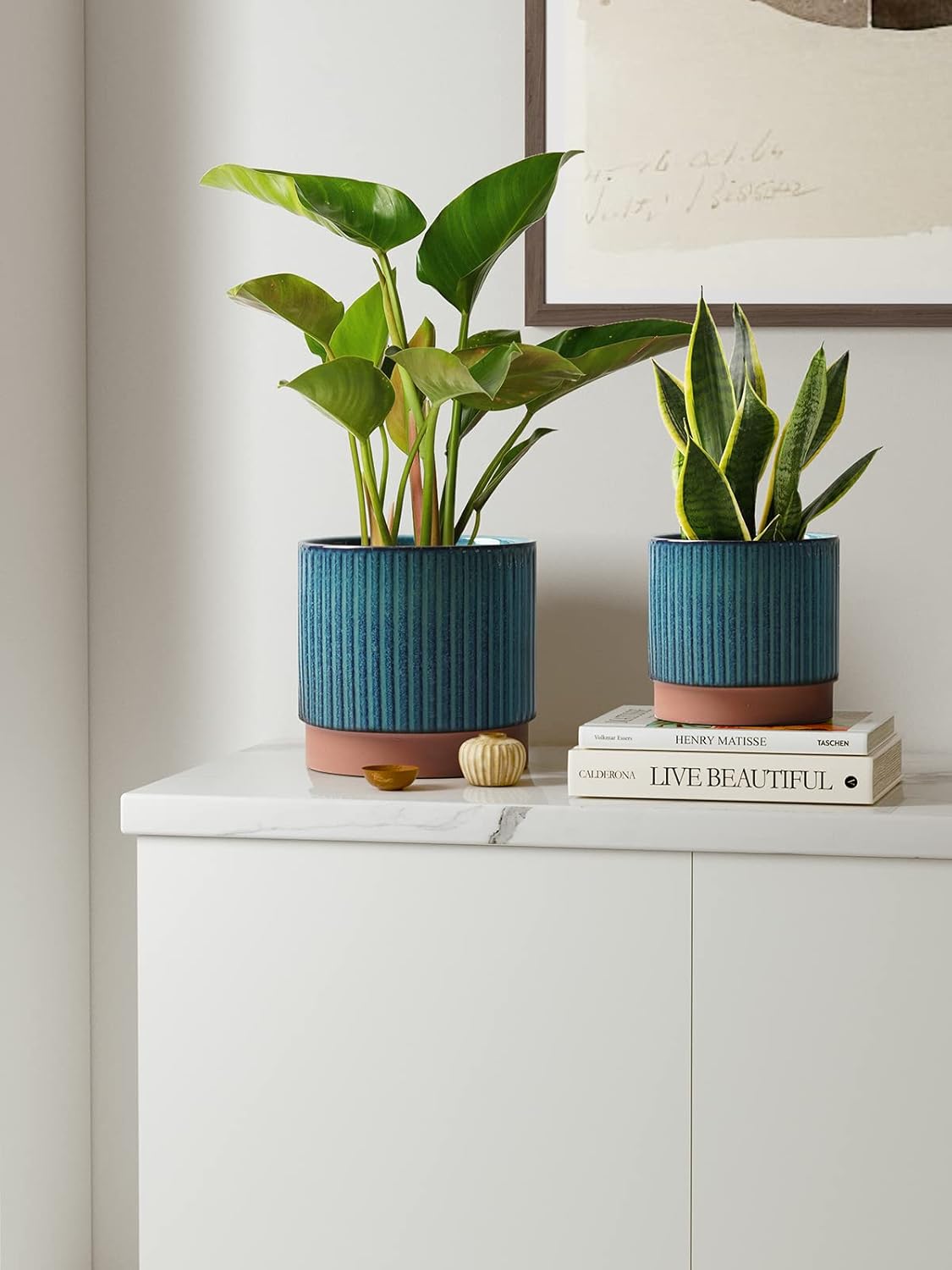 Set of 3 Ceramic Plant Pots wi – Aloe Vera Pot Bewertung und Preis