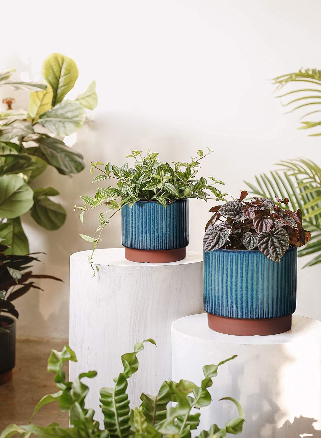 Set of 3 Ceramic Plant Pots wi – Aloe Vera Pot Bewertung und Preis