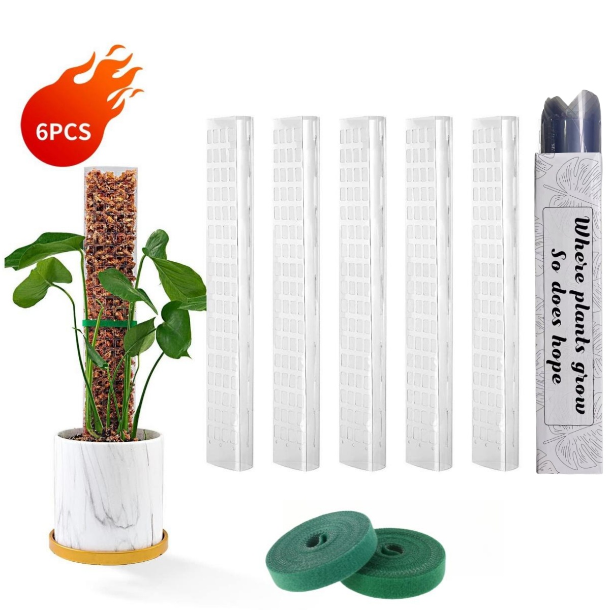 Moss Poles Plants Plant Suppor – Echeveria Succulent Bewertung und Preis