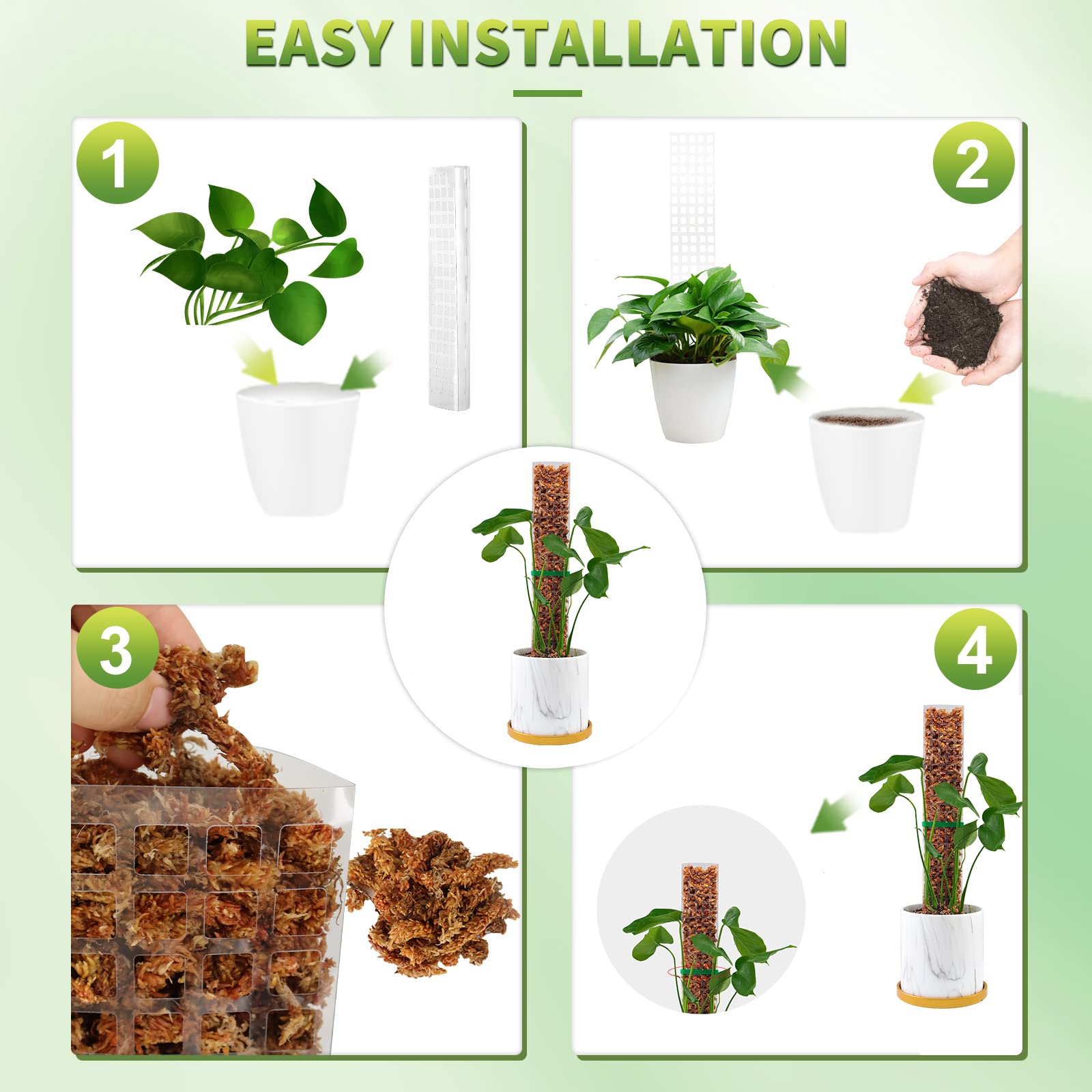 Moss Poles Plants Plant Suppor – Echeveria Succulent Bewertung und Preis