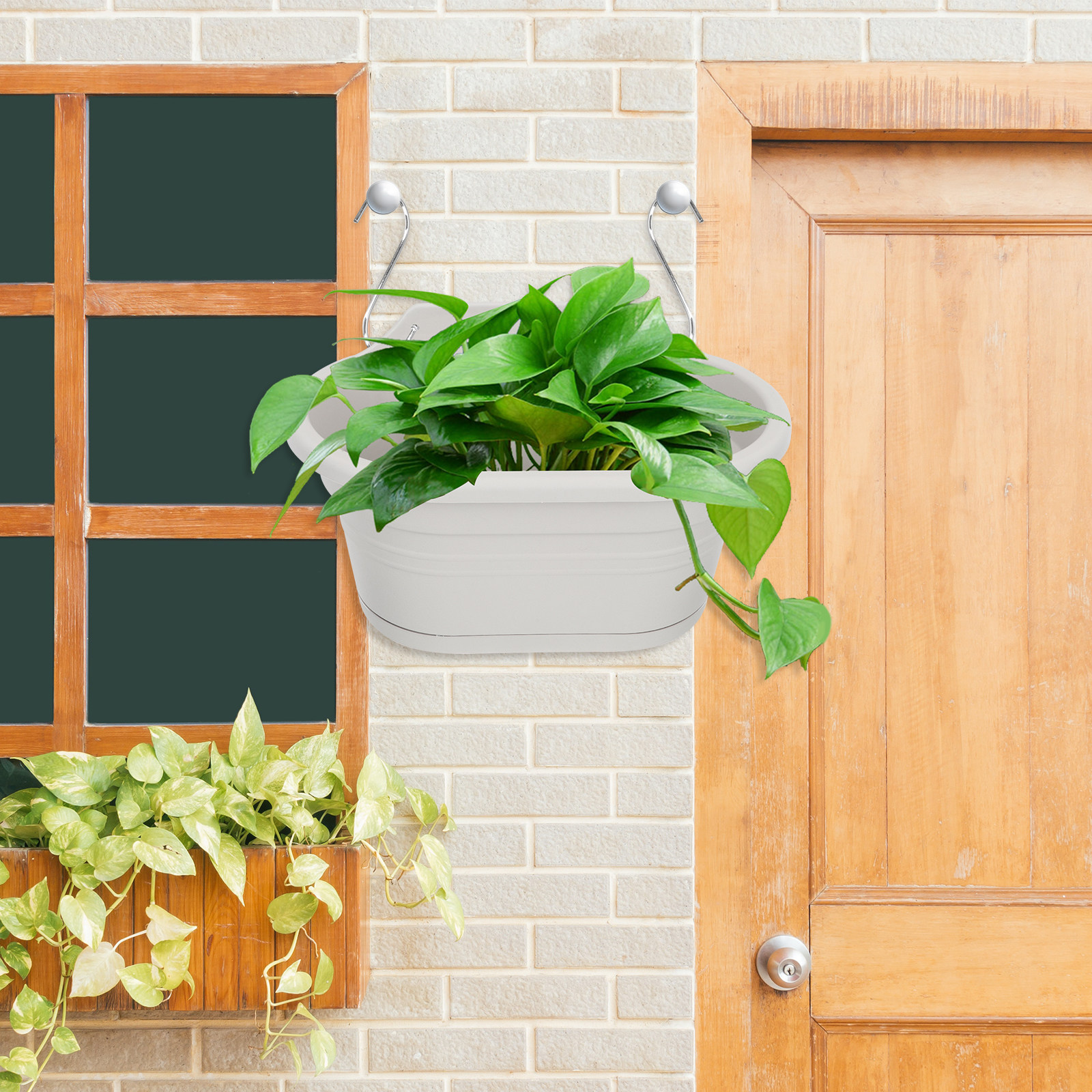 1Set Wall Hanging Flower Pot S – Spider Plant Hanging Bewertung und Preis
