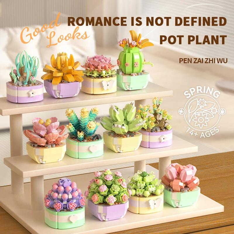 Flower Succulents Building Blo – Echeveria Succulent Bewertung und Preis