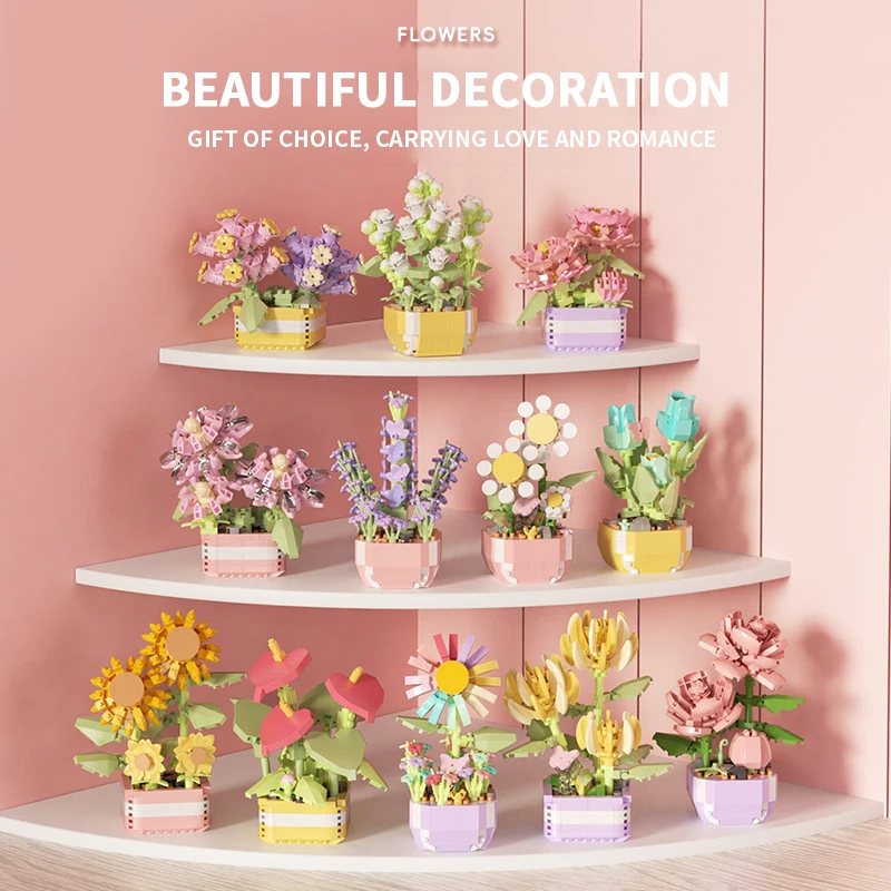 Flower Succulents Building Blo – Echeveria Succulent Bewertung und Preis