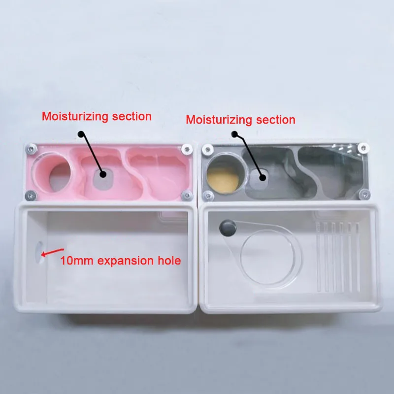 3D Printed Ant Farm queen ant' – Begonia Rex Bewertung und Preis