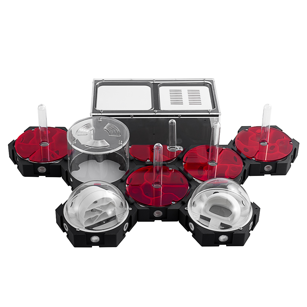 3D Printing Ant Farm Infinitel – Begonia Rex Bewertung und Preis
