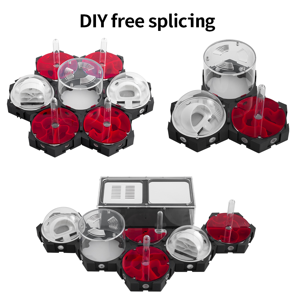 3D Printing Ant Farm Infinitel – Begonia Rex Bewertung und Preis