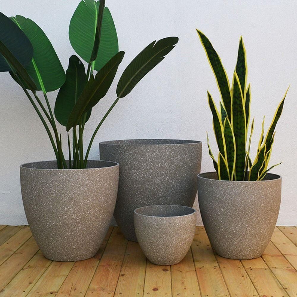 Frosted Imitation Stone Bonsai – Aloe Vera Pot Bewertung und Preis