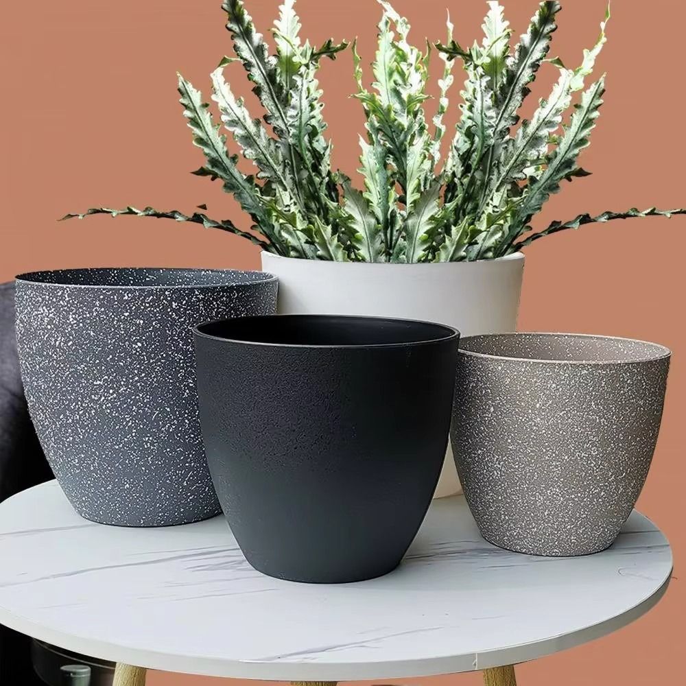 Frosted Imitation Stone Bonsai – Aloe Vera Pot Bewertung und Preis
