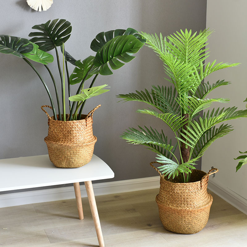 Indoor Nordic decorative seagr – Aloe Vera Pot Bewertung und Preis