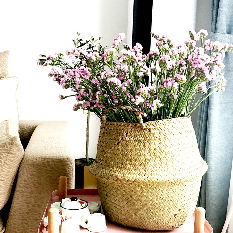 Indoor Nordic decorative seagr – Aloe Vera Pot Bewertung und Preis