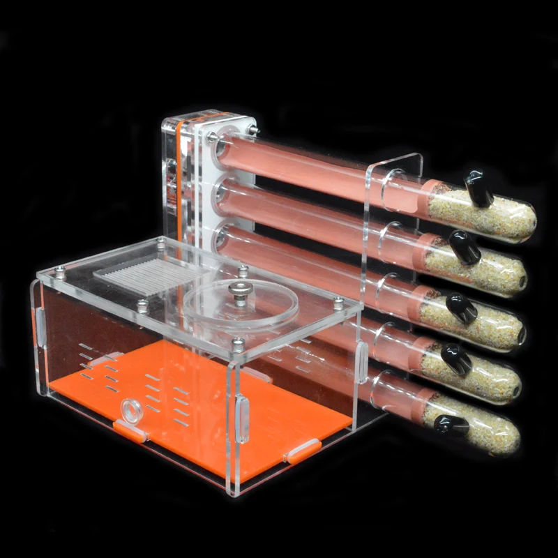DIY Acrylic Ant Farm 5 pcs 18- – Begonia Rex Bewertung und Preis