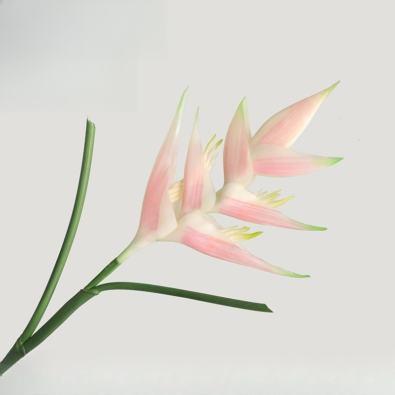 1PCS 85cm Artificial Strelitzi – Bird Paradise Strelitzia Bewertung und Preis