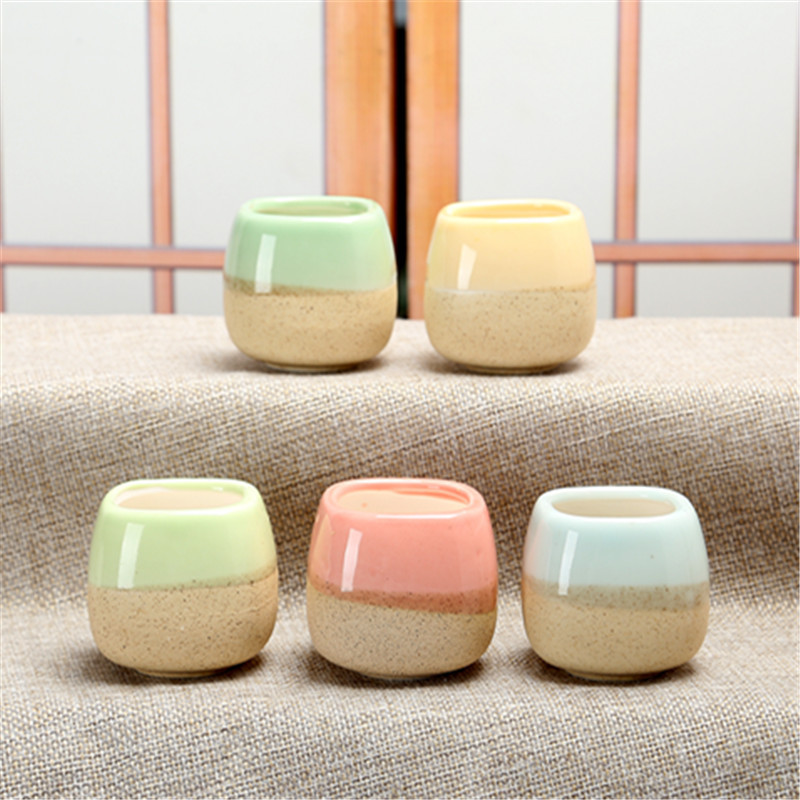 Mini Jelly Shape Cartoon Ceram – Echeveria Succulent Bewertung und Preis
