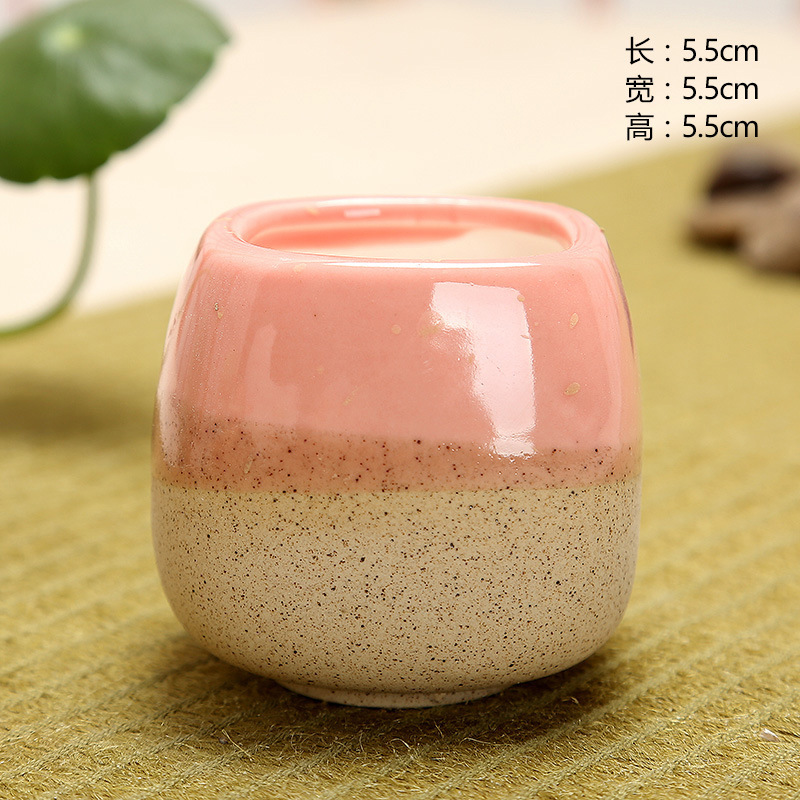 Mini Jelly Shape Cartoon Ceram – Echeveria Succulent Bewertung und Preis