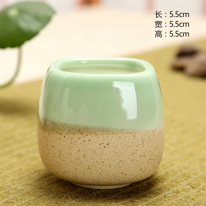Mini Jelly Shape Cartoon Ceram – Echeveria Succulent Bewertung und Preis