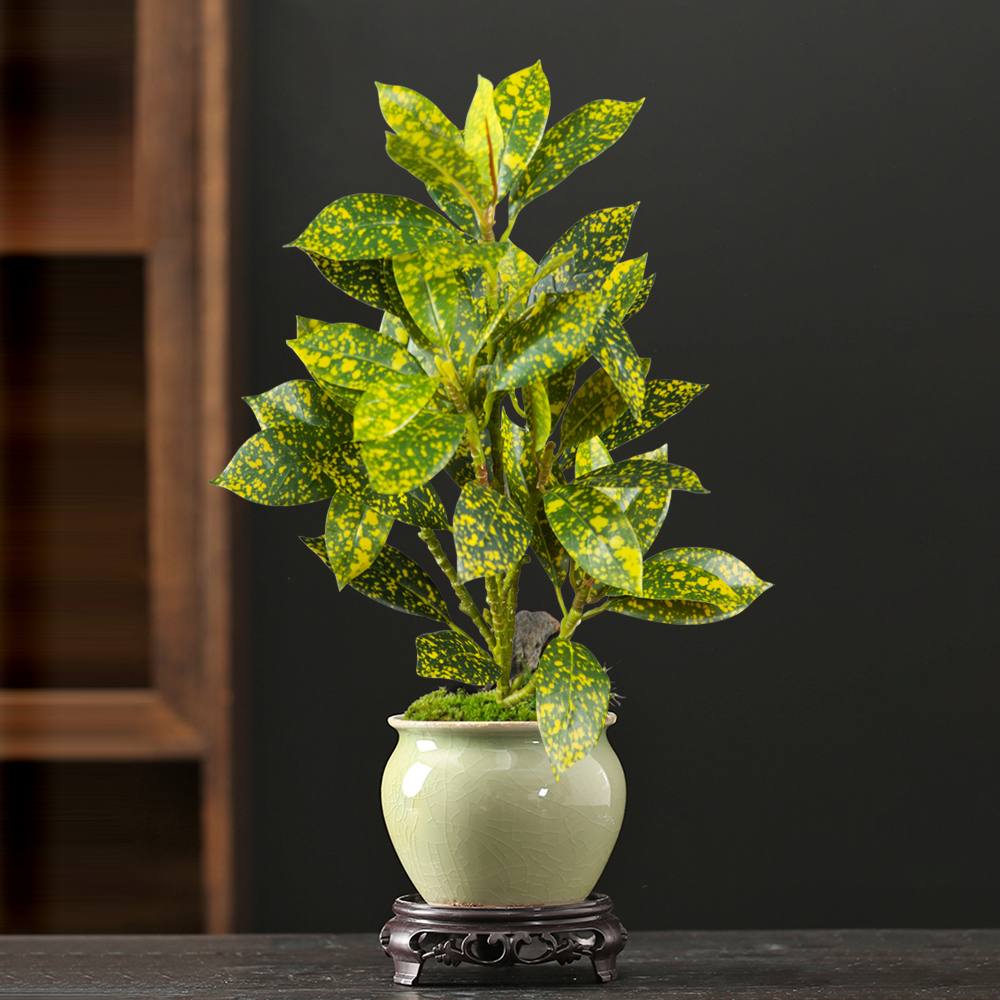 24-41cm Artificial Ficus Tree  – Ficus Lyrata Tree Bewertung und Preis