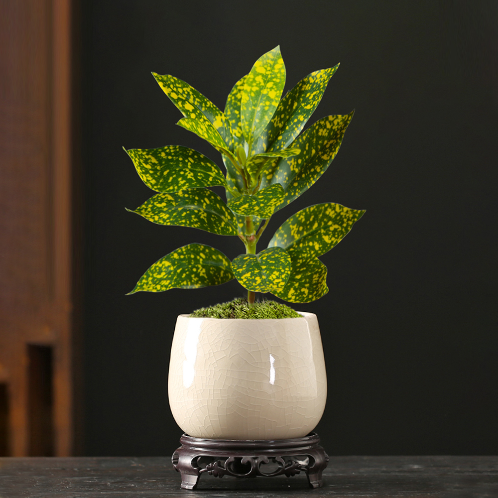 24-41cm Artificial Ficus Tree  – Ficus Lyrata Tree Bewertung und Preis