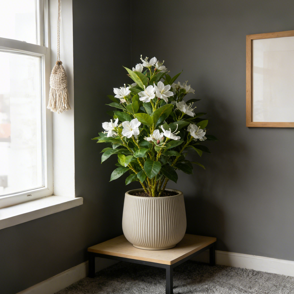21-40cm Artificial Azalea Flow – Ficus Lyrata Tree Bewertung und Preis