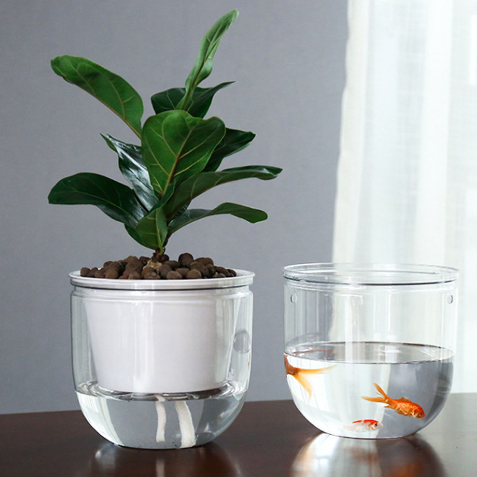 Automatic Self Watering Plant  – Spider Plant Hanging Bewertung und Preis