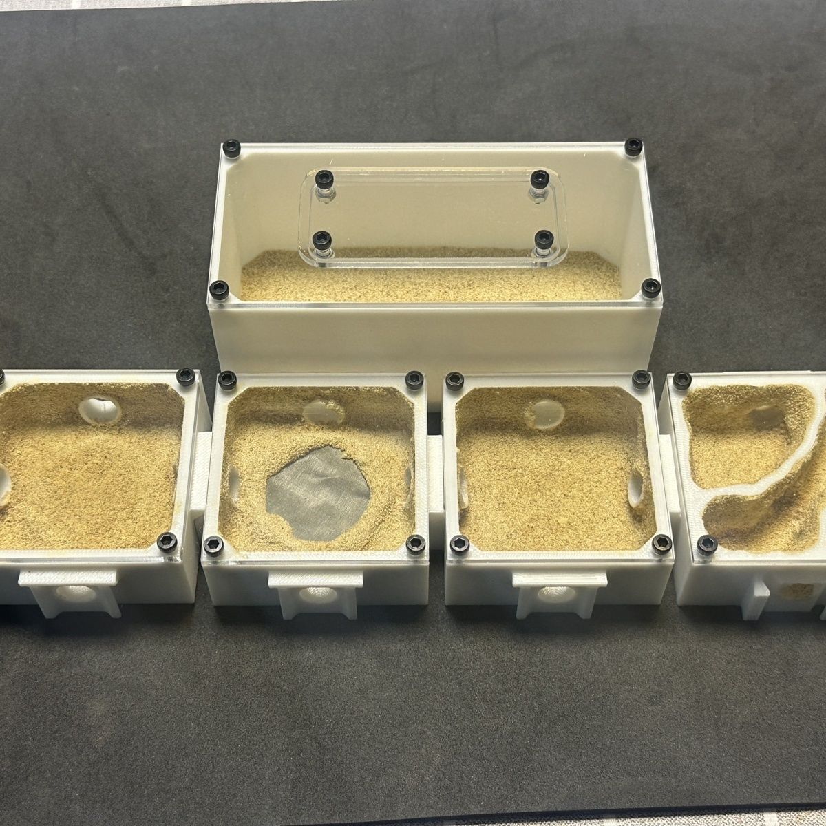 Ants Farm with Water Feeder fo – Begonia Rex Bewertung und Preis