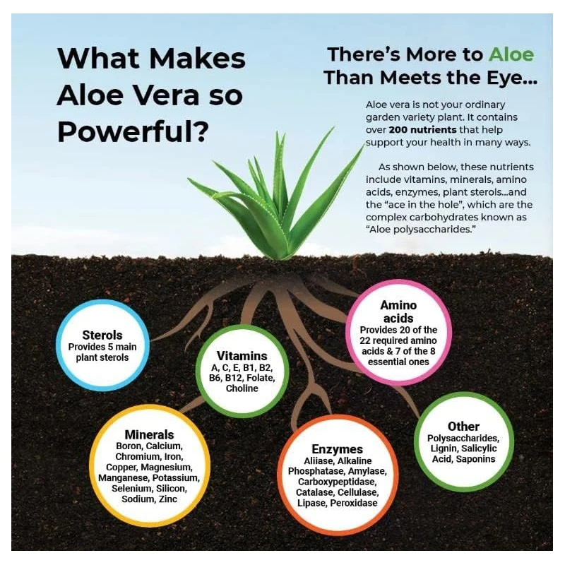 Aloe Vera Capsules - Help Prom – Aloe Vera Pot Bewertung und Preis