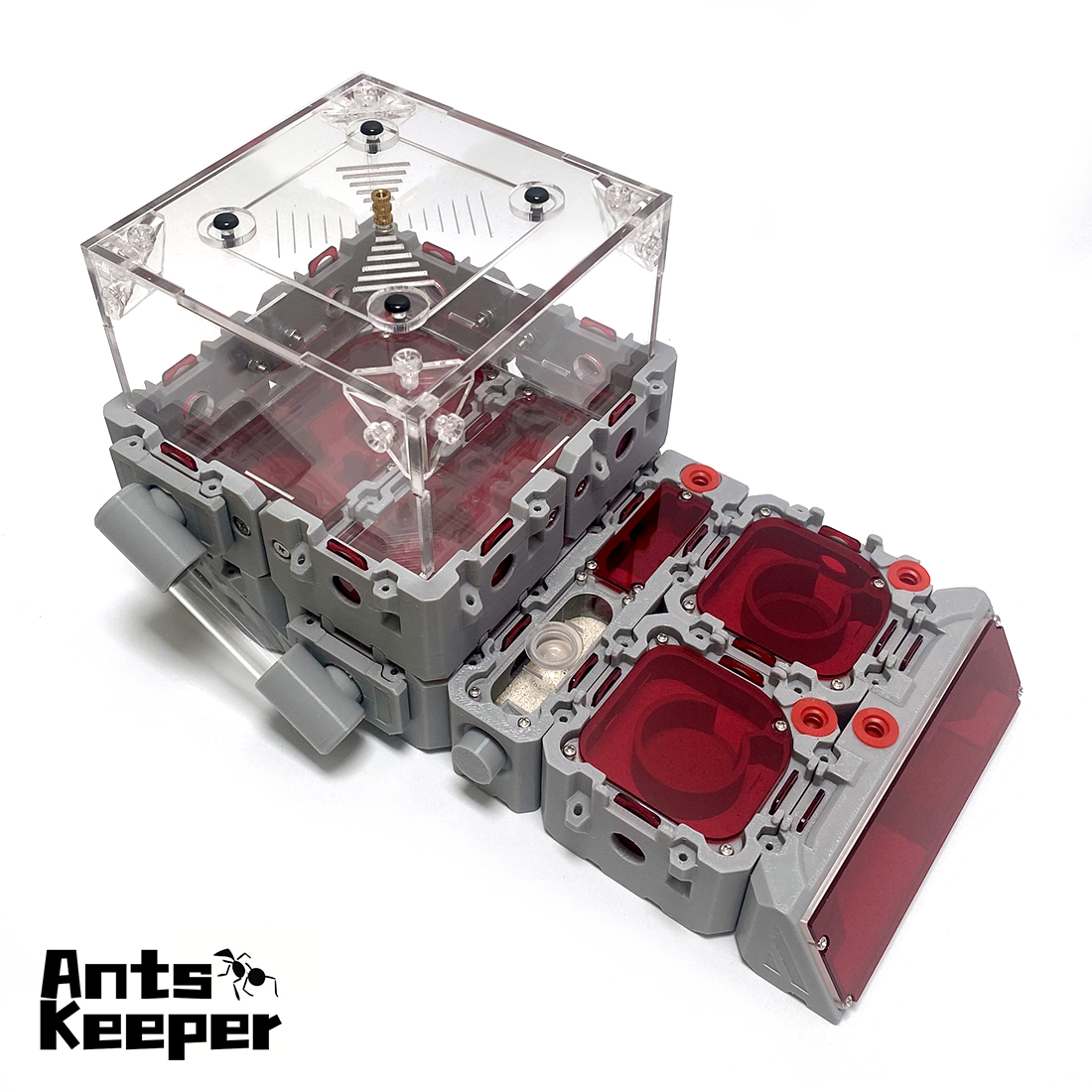 【Lego】Expandable Modular Formi – Begonia Rex Bewertung und Preis
