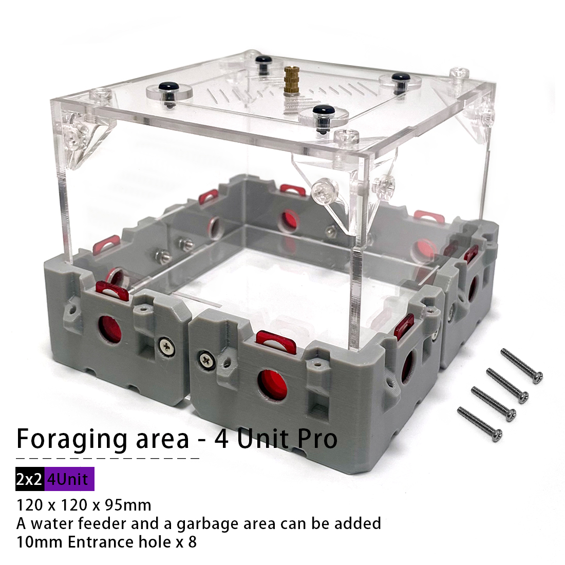 【Lego】Expandable Modular Formi – Begonia Rex Bewertung und Preis