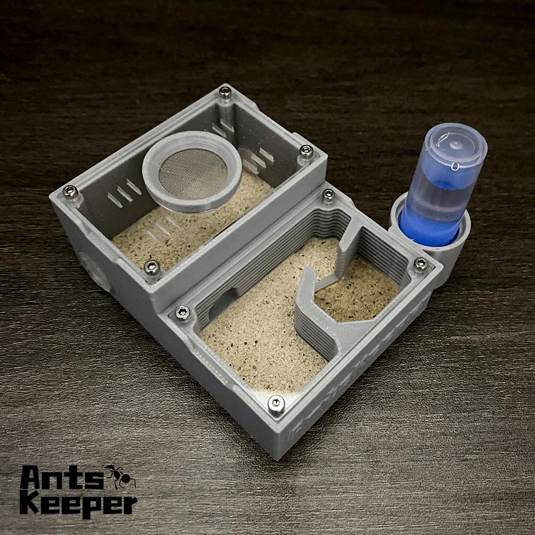 【One Section】Flat Ant Farm for – Begonia Rex Bewertung und Preis