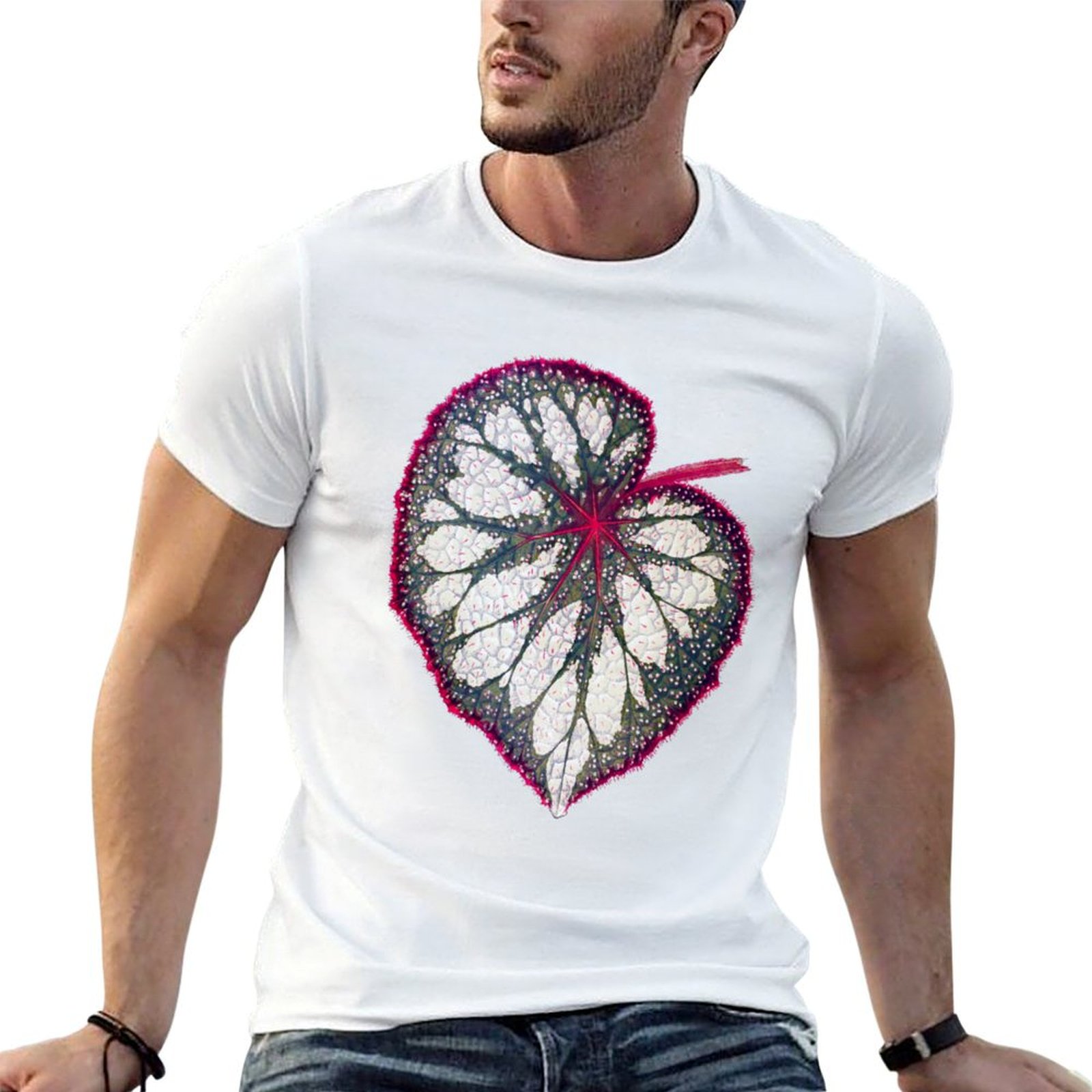 Begonia rex T-Shirt man graphi – Begonia Rex Bewertung und Preis