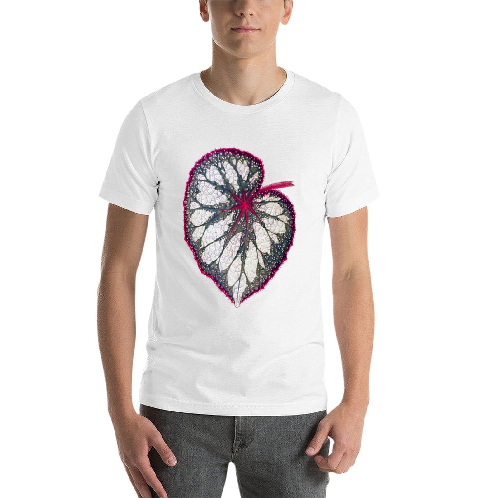 Begonia rex T-Shirt man graphi – Begonia Rex Bewertung und Preis