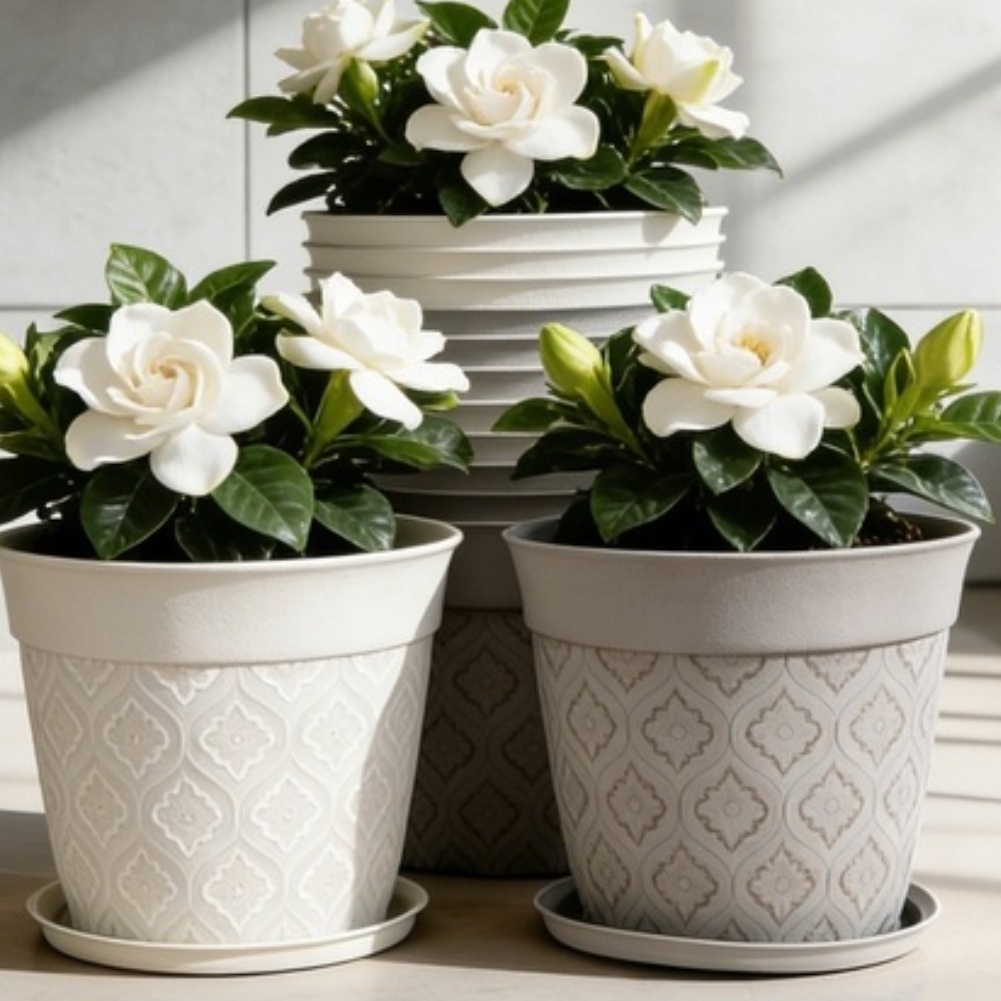 8in Flower Pot With Drainage H – Echeveria Succulent Bewertung und Preis