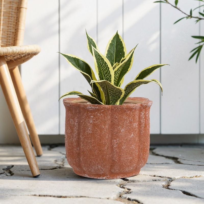 8in Terracotta Flower Planter  – Aloe Vera Pot Bewertung und Preis