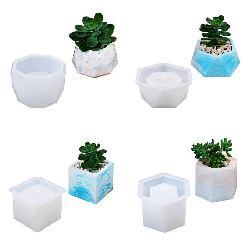 Succulent Flowerpot Silicone M – Echeveria Succulent Bewertung und Preis