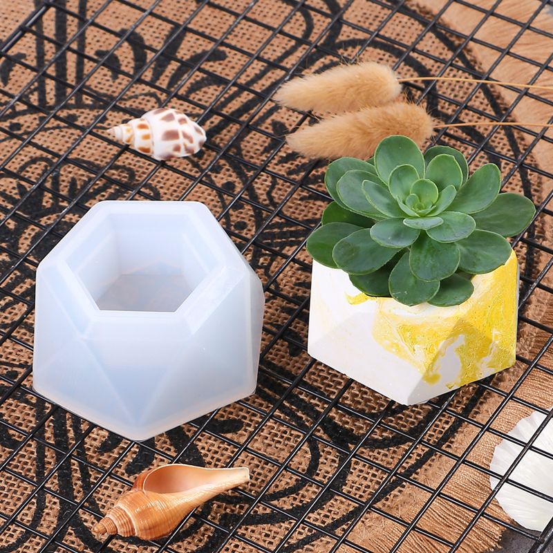 Succulent Flowerpot Silicone M – Echeveria Succulent Bewertung und Preis