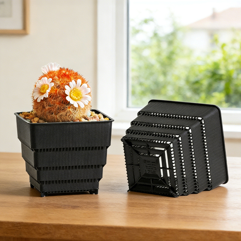 MESHPOT 6-Pack Square Pots for – Echeveria Succulent Bewertung und Preis