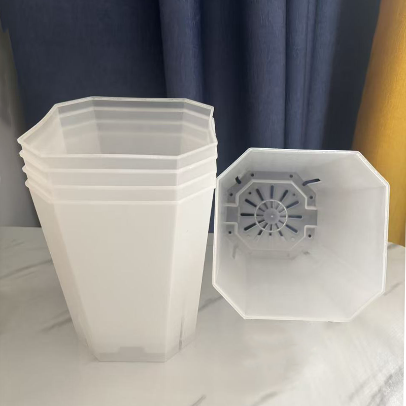 5PCS Transparent Flowerpot 15c – Echeveria Succulent Bewertung und Preis