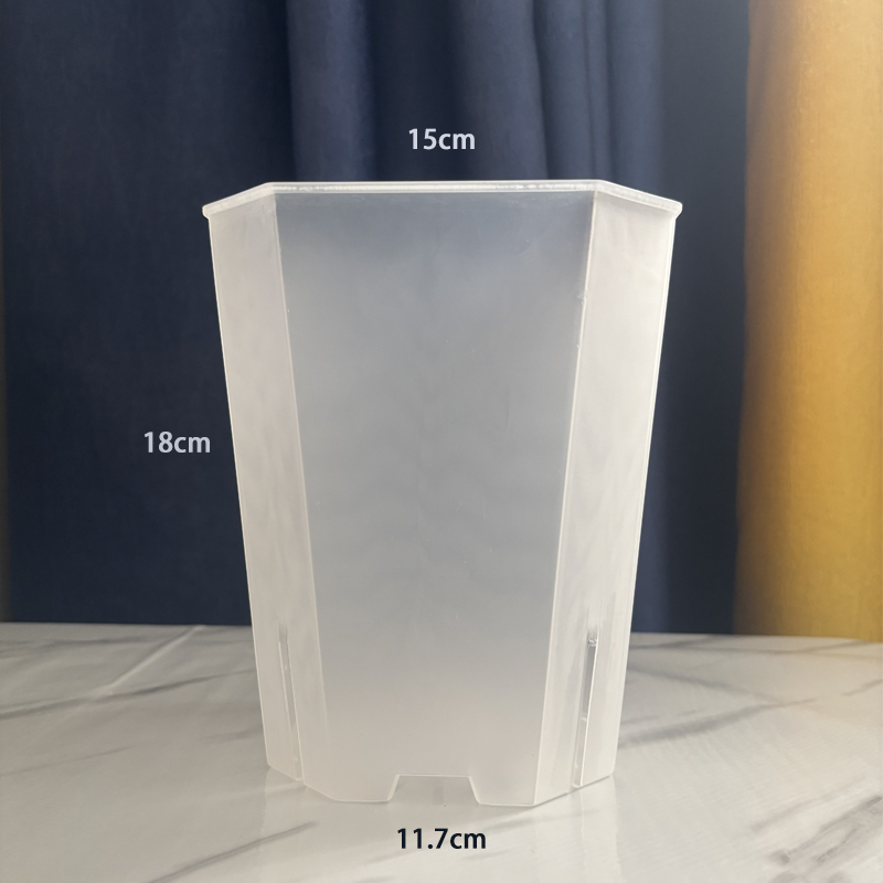5PCS Transparent Flowerpot 15c – Echeveria Succulent Bewertung und Preis
