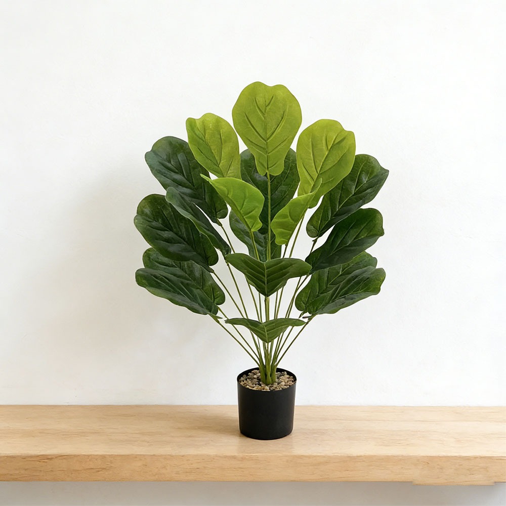 1pc of 75cm Artificial Ficus L – Ficus Lyrata Tree Bewertung und Preis