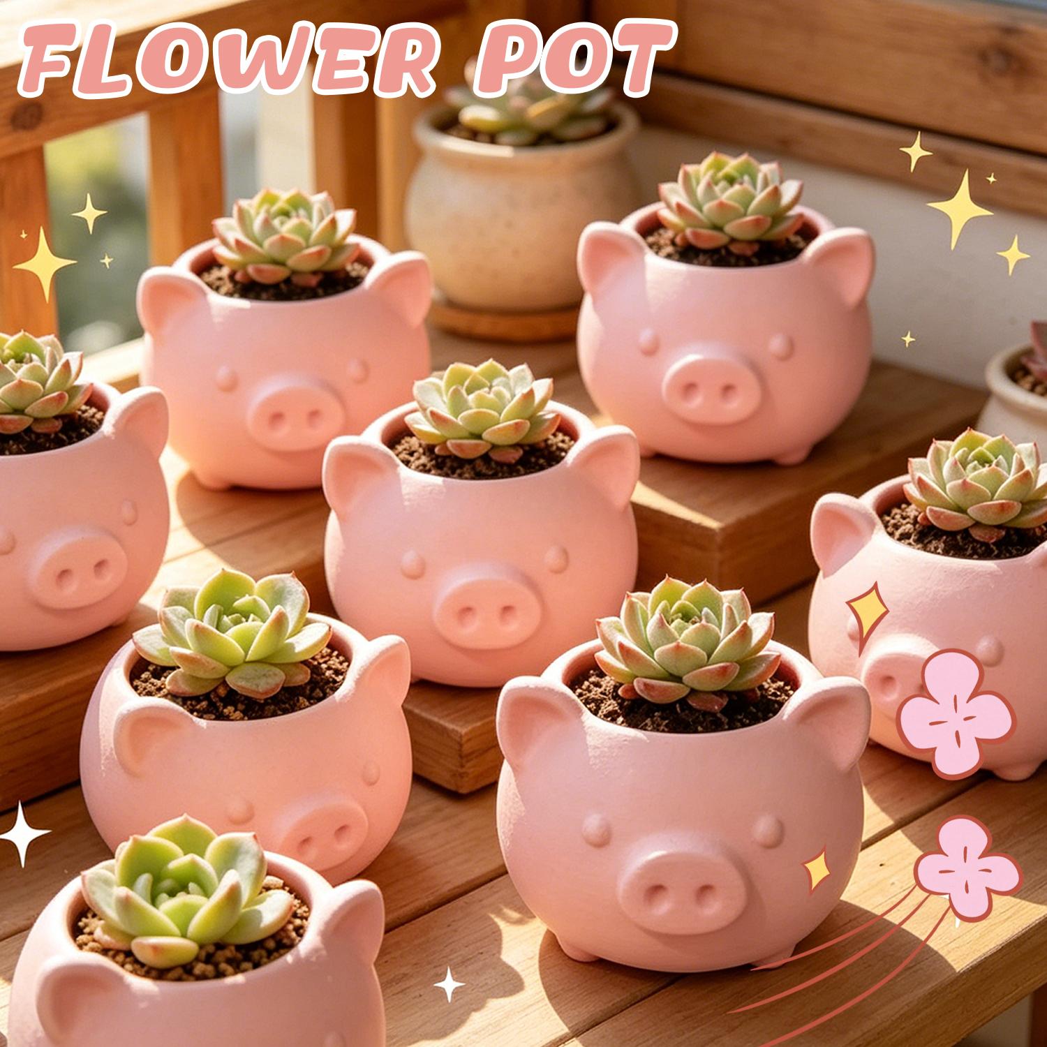 10/1pcs 3D Printed Creative Pi – Echeveria Succulent Bewertung und Preis