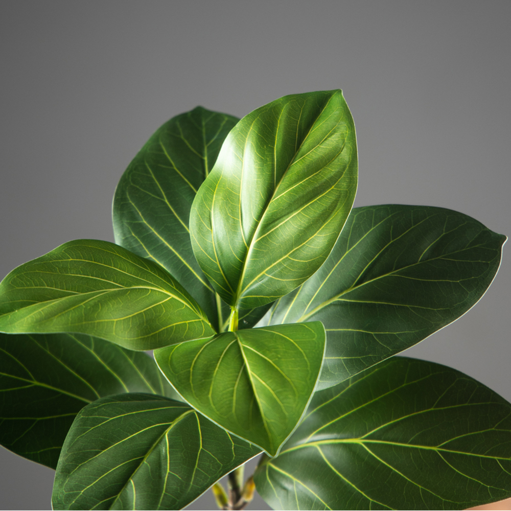 70-130cm Large Artificial Bany – Ficus Lyrata Tree Bewertung und Preis