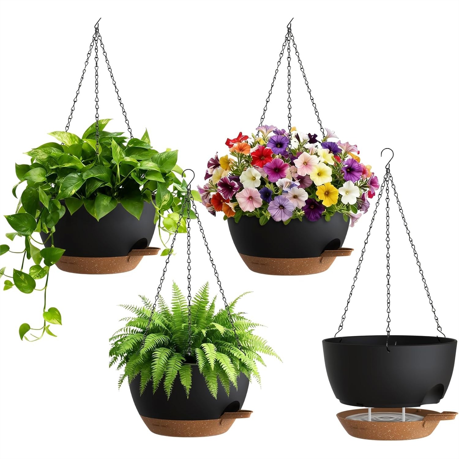 Self Watering Hanging Planters – Spider Plant Hanging Bewertung und Preis