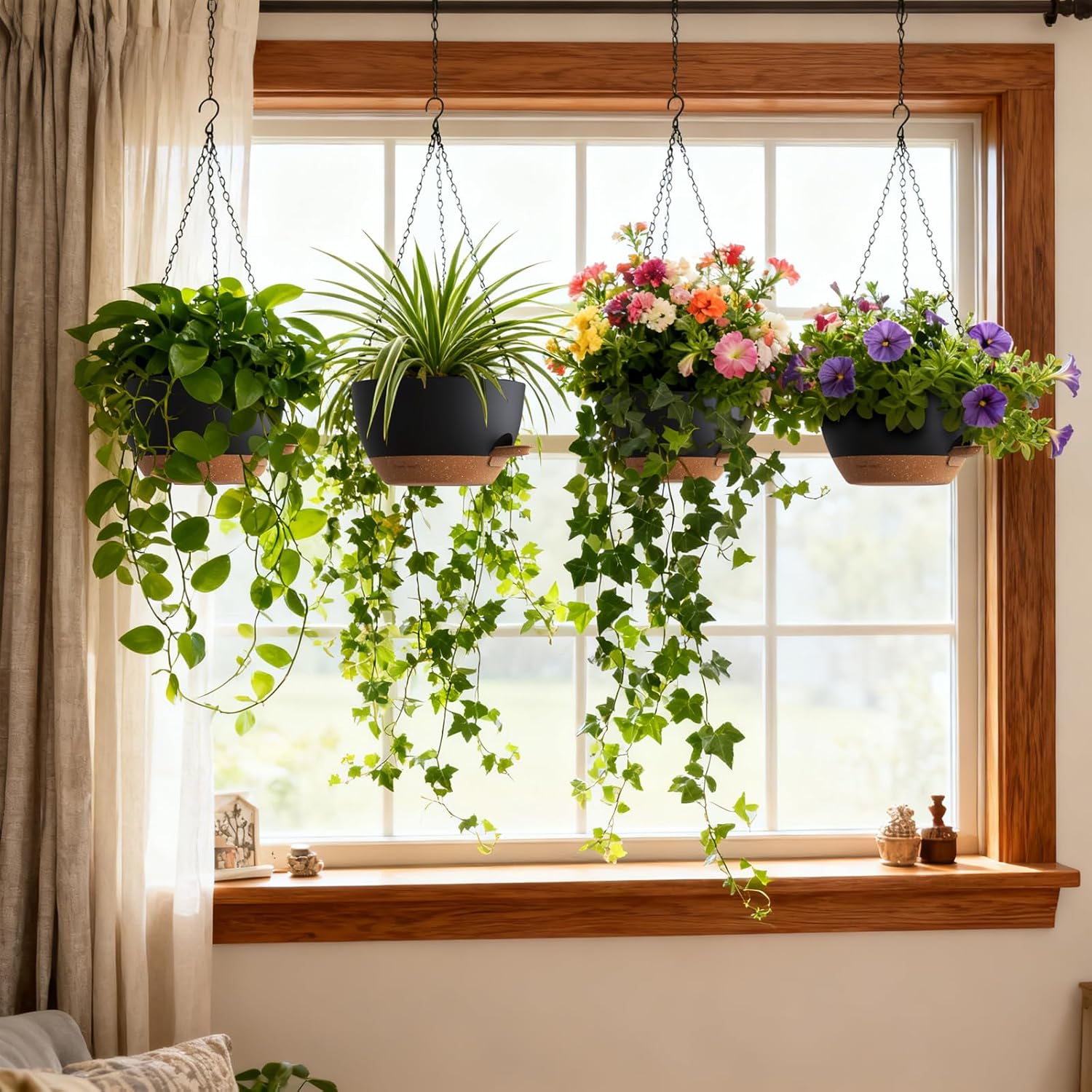 Self Watering Hanging Planters – Spider Plant Hanging Bewertung und Preis