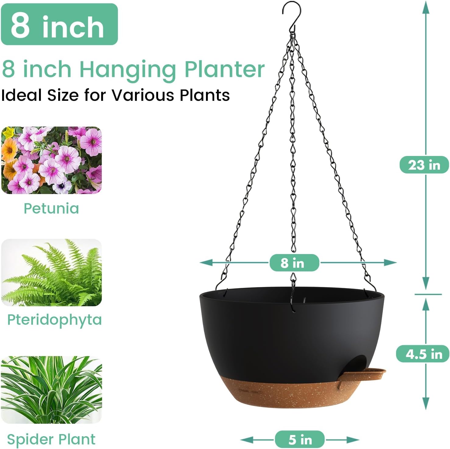 Self Watering Hanging Planters – Spider Plant Hanging Bewertung und Preis