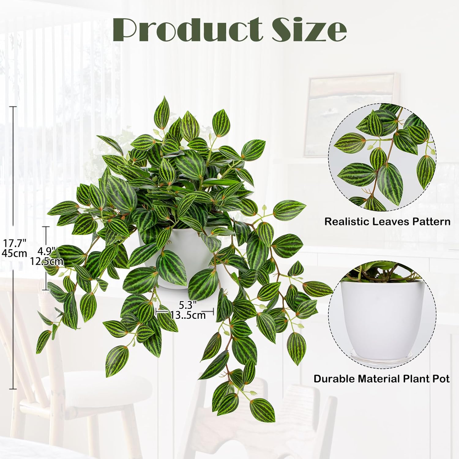 Artificial Plants Indoor Fake  – Peperomia Watermelon Bewertung und Preis