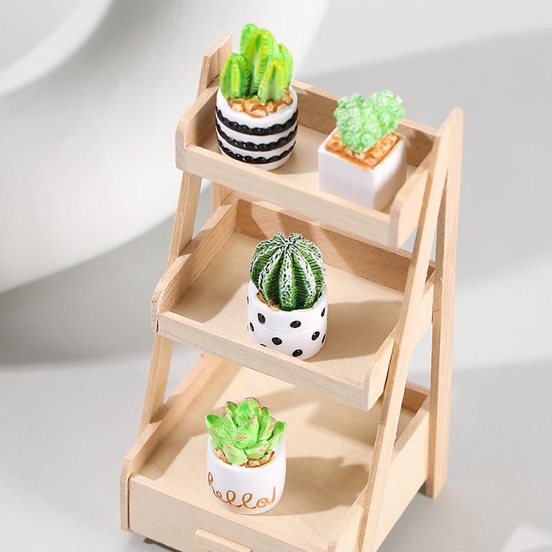 4-Piece Set of Cactus Succulen – Echeveria Succulent Bewertung und Preis