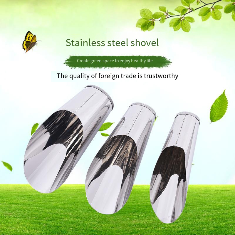 Stainless Steel Bucket Shovel  – Echeveria Succulent Bewertung und Preis