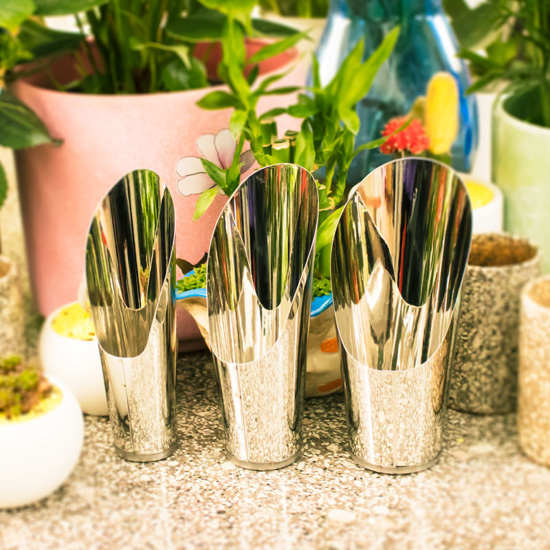 Stainless Steel Bucket Shovel  – Echeveria Succulent Bewertung und Preis