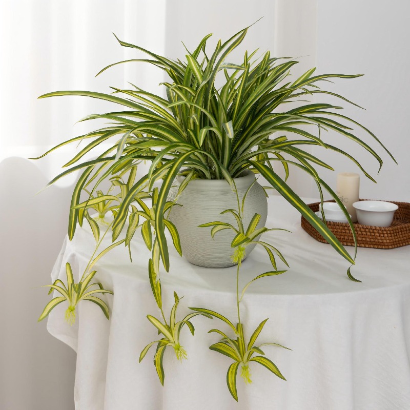 Artificial Spider Plant Chloro – Spider Plant Hanging Bewertung und Preis