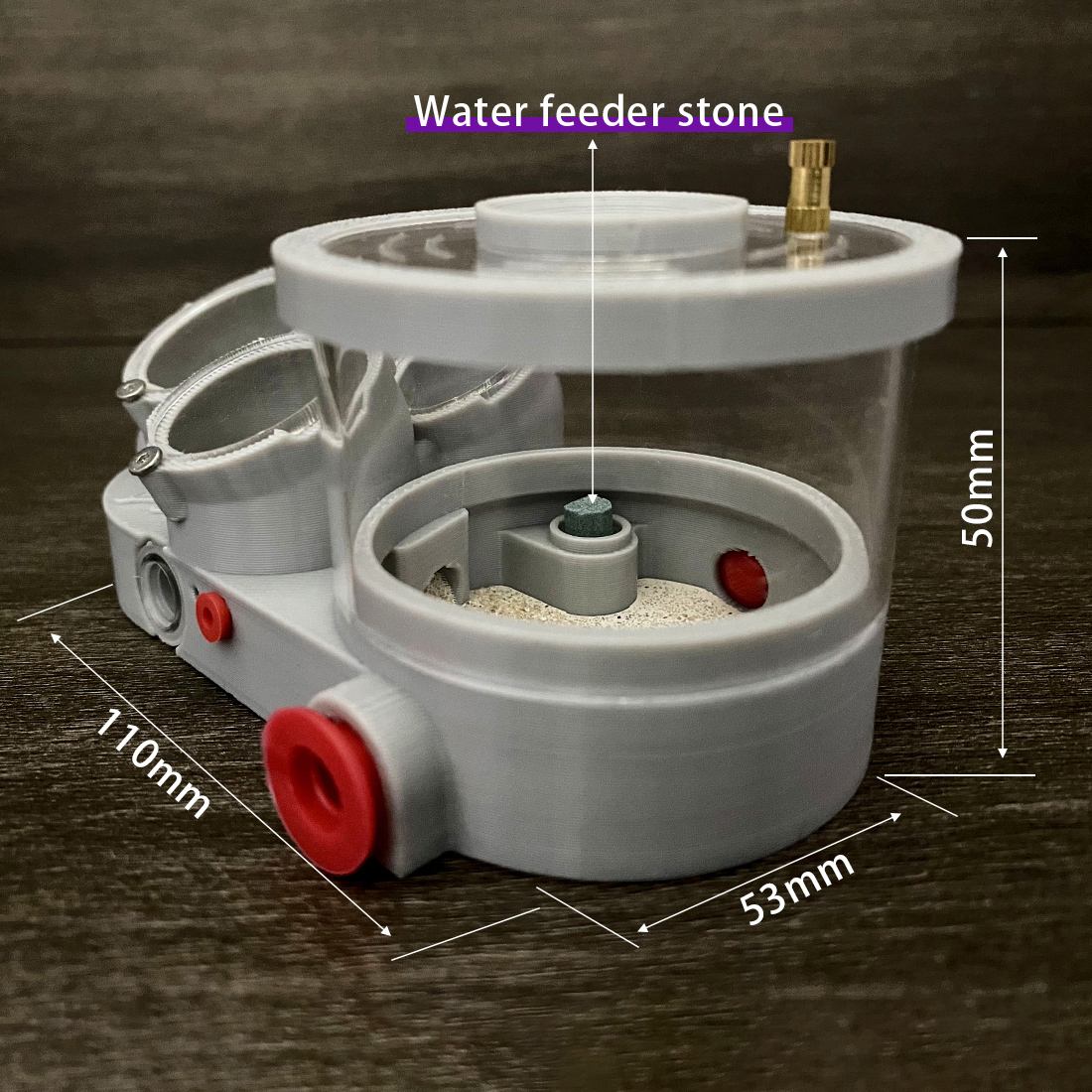 【Three Body】Ant Farm with Wate – Begonia Rex Bewertung und Preis